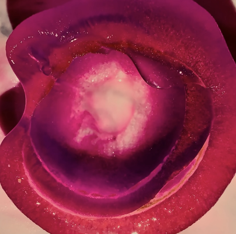 Image du Projet Fluere