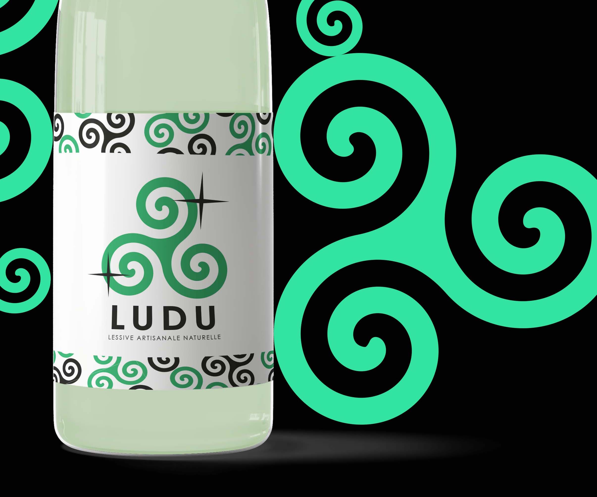 PROJET LUDU